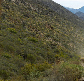 Guided Adventure Tours
